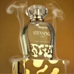 Degree Stunning Men Perfume 100ml